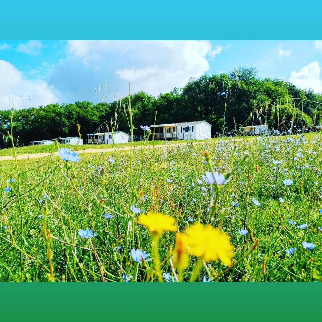 Soturac Camping Nature Le Valenty Mobil-Home-Dordogne Panoramique Clim Piscine מראה חיצוני תמונה