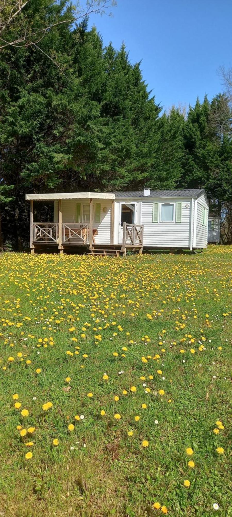Soturac Camping Nature Le Valenty Mobil-Home-Dordogne Panoramique Clim Piscine מראה חיצוני תמונה